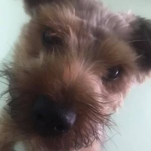 Meet your Posher, Kat